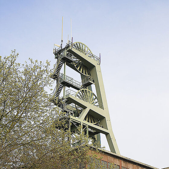 Zecke-Ewald-Herten-13