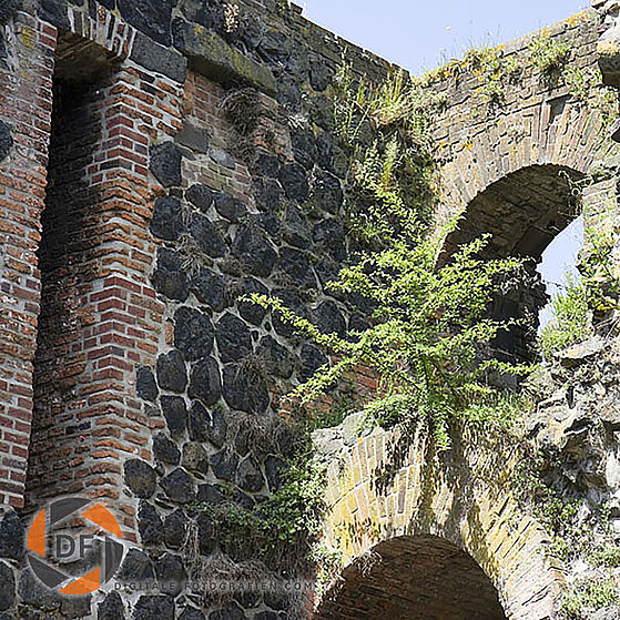 Kaiserpfalz-Duesseldorf-Kaiserswerth-26