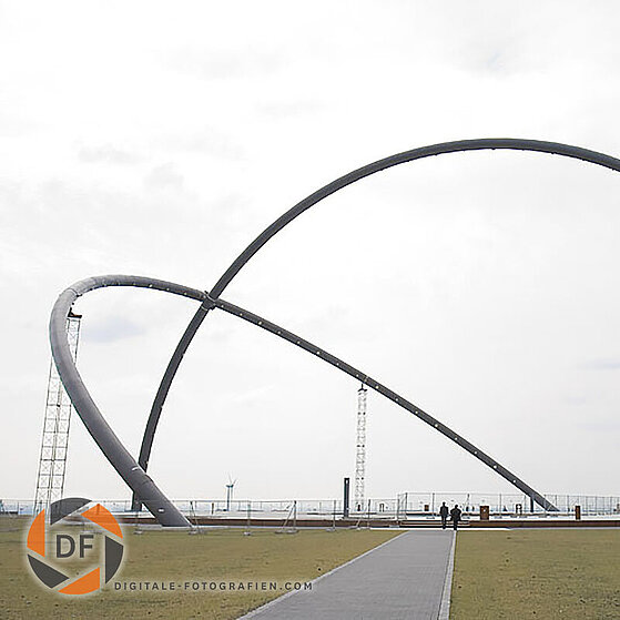 Zecke-Ewald-Herten-19